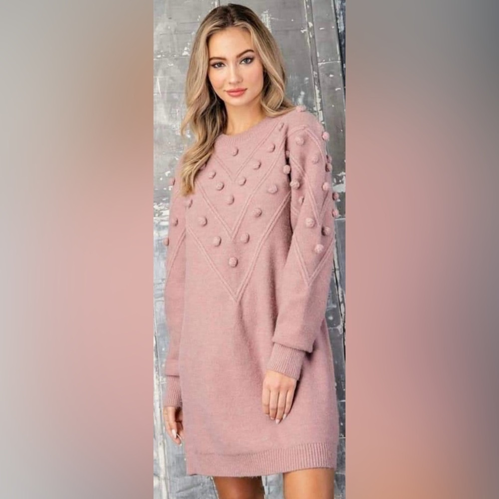 NWT eesome kit dress with Pom detail